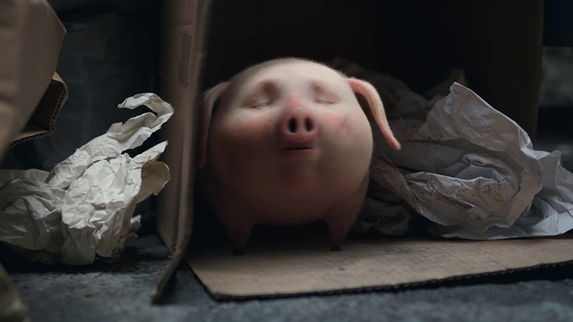 Video Reference: Nose, Hair, Cheek, Lip, Human body, Flash photography, Jaw, Comfort, Wood, Baby