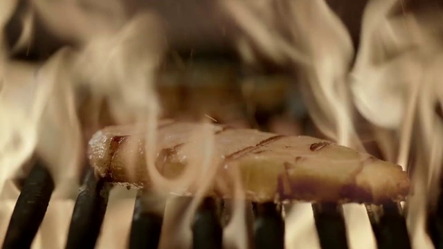 Video Reference: Wood, Mushroom, Food, Recipe, Metal, Agaricaceae, Fur, Macro photography, Ingredient, Twig