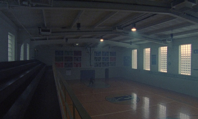 Video Reference: Wood, Field house, Hall, Floor, Window, Building, Flooring, Space, Hardwood, Ceiling