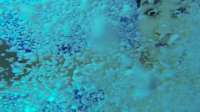 Video Reference: Water, Green, Blue, Fluid, Underwater, Aqua, Liquid, Reef, Natural material, Electric blue