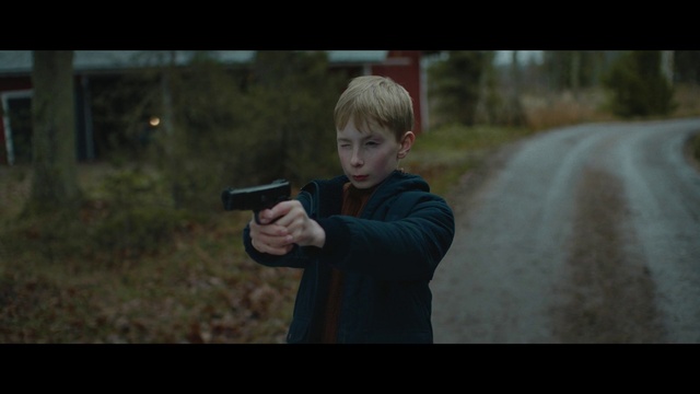 Video Reference: Plant, Flash photography, Revolver, Gesture, Grass, Landscape, Tree, Forest, Shooting, Darkness