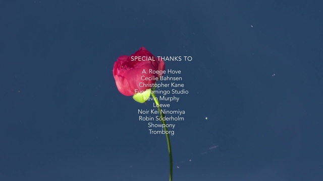 Video Reference: Flower, Plant, Sky, Petal, Natural landscape, Font, Flowering plant, Electric blue, Pedicel, Magenta