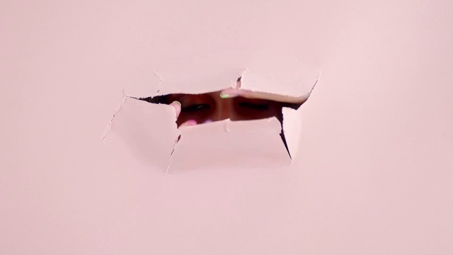 Video Reference: Insect, Twig, Wood, Bat, Wing, Toy, Arthropod, Art, Pest, Macro photography