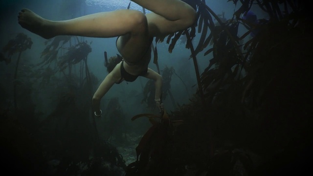 Video Reference: Water, Hand, Plant, Leg, Human body, Flash photography, Swimwear, People in nature, Underwater, Tree