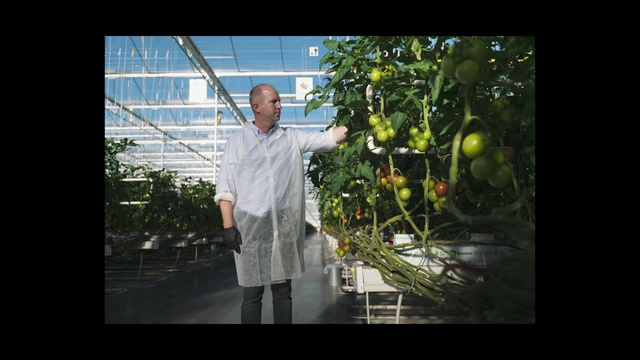 Video Reference: Plant, Rangpur, Flash photography, Citrus, Fruit, Tints and shades, Event, Tree, Formal wear, Glass