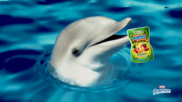Video Reference: Water, Azure, Liquid, Fluid, Organism, Aqua, Common dolphins, Fin, Dolphin, Ducks, geese and swans