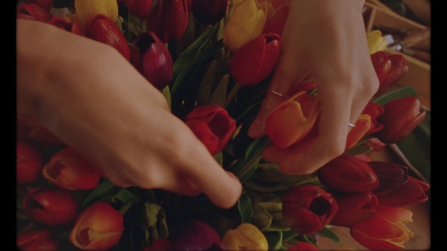 Video Reference: Flower, Hand, Plant, Petal, Leaf, Gesture, Creative arts, Finger, Flower Arranging, Nail
