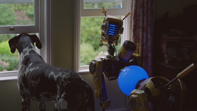 Video Reference: Dog, Dog breed, Carnivore, Helmet, Working animal, Fawn, Window, Engineering, Snout, Dalmatian