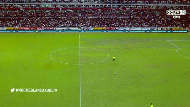 Video Reference: Soccer, Grass, Player, Football player, Competition event, Flooring, Sports, Tournament, Leisure, Championship