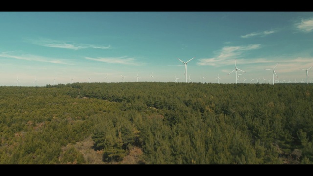 Video Reference: Sky, Windmill, Cloud, Plant, Natural landscape, Wind farm, Tree, Highland, Sunlight, Land lot
