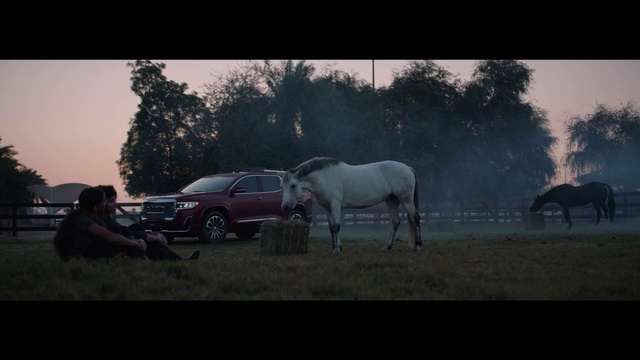 Video Reference: Horse, Sky, Car, Cloud, Automotive lighting, Tire, Vehicle, Plant, Wheel, Working animal