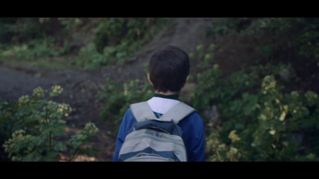 Video Reference: Hairstyle, People in nature, Flash photography, Gesture, Happy, Grass, Black hair, Natural landscape, Landscape, Electric blue