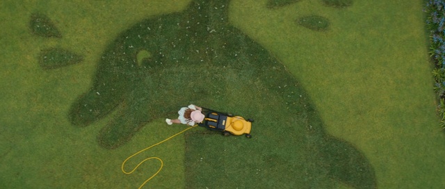 Video Reference: Ecoregion, Vertebrate, Plant, Leaf, Organism, Slope, Grass, Grassland, Landscape, Tree