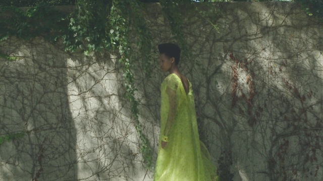 Video Reference: Plant, Flash photography, People in nature, Wood, Twig, Trunk, Terrestrial plant, Fawn, Tints and shades, Grass