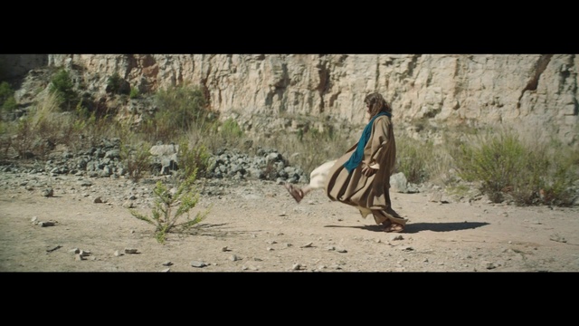 Video Reference: Plant, Fawn, Grass, Wood, Landscape, Terrestrial animal, People in nature, Electric blue, Soil, Sand