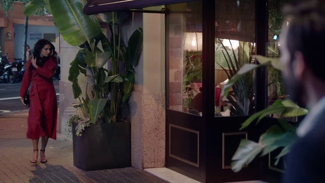 Video Reference: Plant, Textile, Architecture, Terrestrial plant, Door, Houseplant, Event, Magenta, Art, Flooring