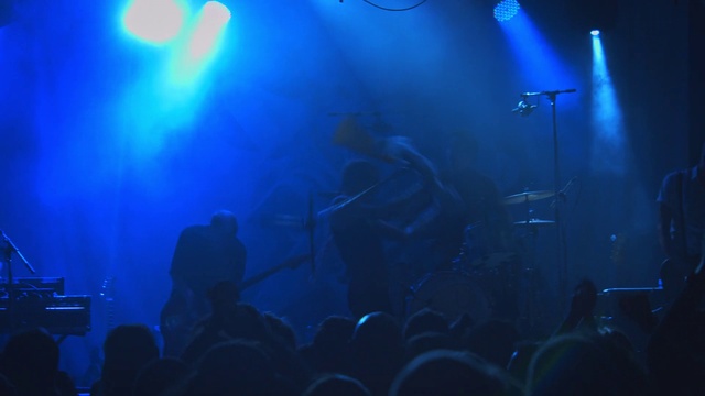 Video Reference: Musical instrument, Musician, Blue, Light, Concert, Purple, Band plays, Entertainment, Music, Music artist