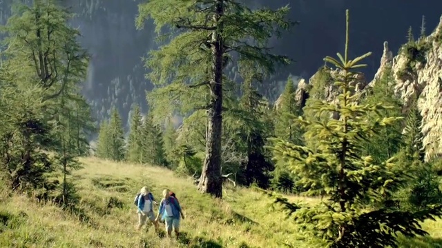 Video Reference: Plant, Plant community, Ecoregion, Tree, Natural landscape, Larch, Highland, People in nature, Terrestrial plant, Biome