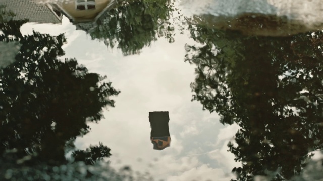 Video Reference: Cloud, Daytime, Sky, World, Nature, Leaf, Lighting, Water, Sunlight, Atmospheric phenomenon