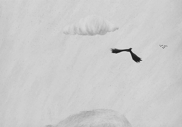 Video Reference: Bird, Beak, Grey, Sky, Wing, Feather, Seabird, Monochrome photography, Snow, Wildlife