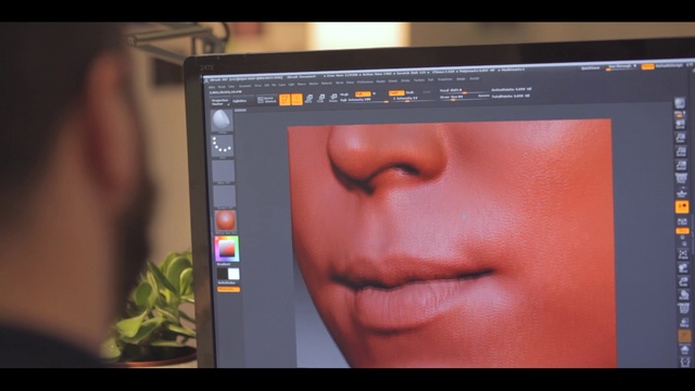 Video Reference: Computer, Plant, Computer monitor, Eyelash, Font, Screenshot, Display device, Multimedia, Technology, Electronic device