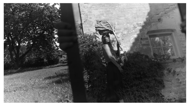 Video Reference: Helmet, Plant, Black-and-white, Flash photography, Tree, Style, Grass, Tints and shades, Sports equipment, Monochrome photography