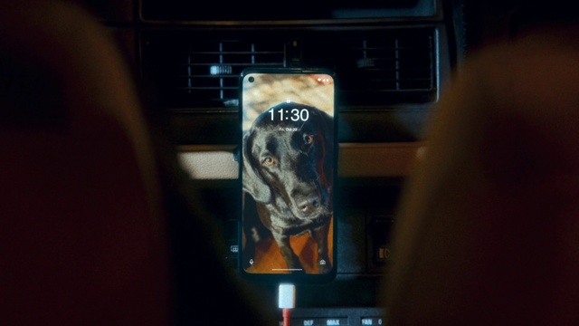 Video Reference: Drink, Alcoholic beverage, Bottle, Electronic device, Alcohol, Glass, Font, Barware, Machine, Display device