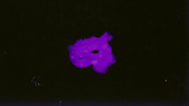 Video Reference: Petal, Purple, Violet, Magenta, Electric blue, Marine biology, Art, Space, Annual plant, Underwater