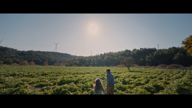 Video Reference: Sky, Plant, Ecoregion, Windmill, People in nature, Natural landscape, Cloud, Highland, Happy, Sunlight