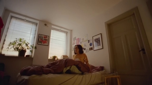 Video Reference: Plant, Picture frame, Comfort, Wood, Houseplant, Door, Flowerpot, Hardwood, Flooring, Window