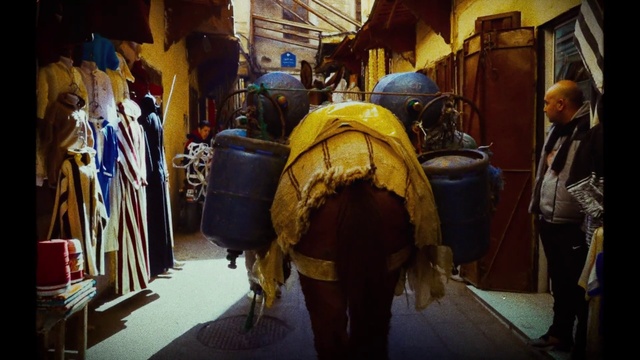 Video Reference: Temple, Working animal, Headgear, Helmet, Art, Motor vehicle, Road, City, Event, Market