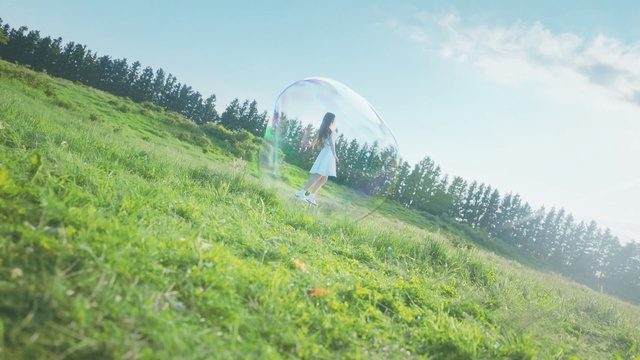 Video Reference: Sky, Plant, Cloud, People in nature, Natural landscape, Slope, Tree, Grass, Landscape, Leisure