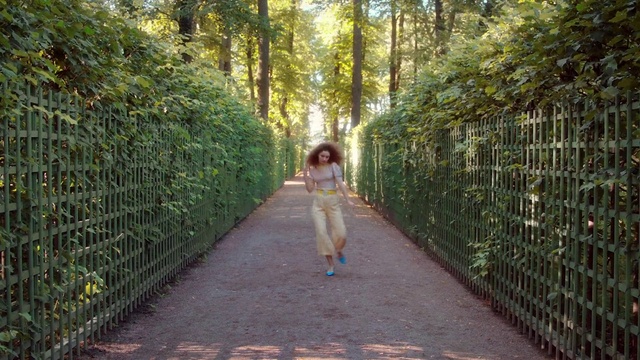 Video Reference: Plant, People in nature, Natural environment, Tree, Road surface, Branch, Botany, Wood, Dress, Sunlight