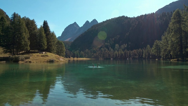 Video Reference: Water, Sky, Mountain, Plant, Natural landscape, Lake, Larch, Tree, Watercourse, Bank