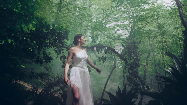 Video Reference: Plant, Wedding dress, Dress, People in nature, Tree, Flash photography, Gesture, Sunlight, Bridal party dress, Gown