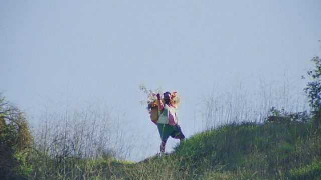 Video Reference: Sky, Plant, Cloud, Ecoregion, Vertebrate, People in nature, Natural landscape, Happy, Grassland, Landscape