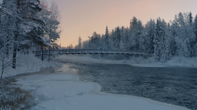 Video Reference: Water, Sky, Cloud, Nature, Snow, Natural landscape, Tree, Branch, Plant, Sunlight