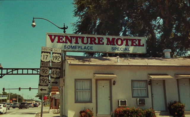 Video Reference: Plant, Sky, Window, Building, Tree, Lighting, Street light, Neighbourhood, Flowerpot, Facade