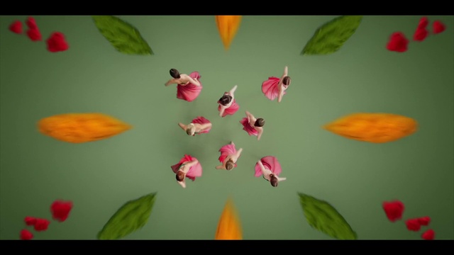 Video Reference: Plant, Flower, Petal, Light, Nature, Leaf, Pollinator, Botany, Organism, Terrestrial plant