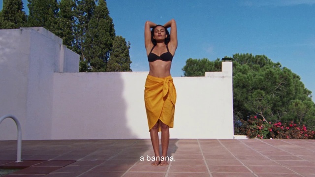 Video Reference: Shoulder, Sky, Waist, Tree, Thigh, Knee, Fawn, Trunk, Happy, Leisure