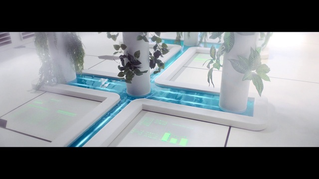 Video Reference: Flower, Azure, Plant, Rectangle, Aqua, Gadget, Material property, Electric blue, Room, Glass