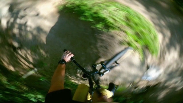 Video Reference: Hand, Green, People in nature, Musical instrument, Grass, Tree, Bicycle handlebar, Grass family, Leisure, Sunglasses