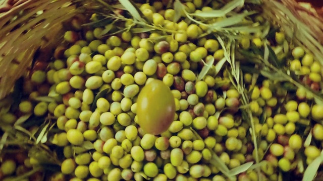 Video Reference: Food, Fruit, Ingredient, Natural foods, Plant, Staple food, Terrestrial plant, Whole food, Legume family, Arecales