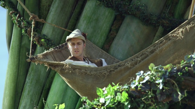 Video Reference: Green, Leaf, Botany, Plant, Terrestrial plant, People in nature, Wood, Hat, Grass, Leisure