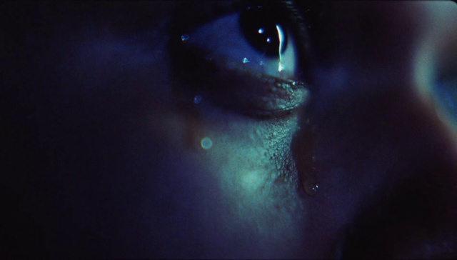 Video Reference: Eye, Eyelash, Flash photography, Jaw, Iris, Felidae, Astronomical object, Underwater, Gas, Plant