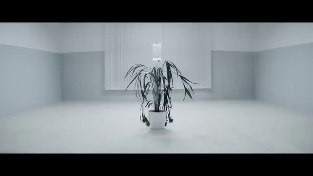 Video Reference: Art, Font, Tints and shades, Ceiling, Sculpture, Rectangle, Monochrome photography, Darkness, Glass, Event