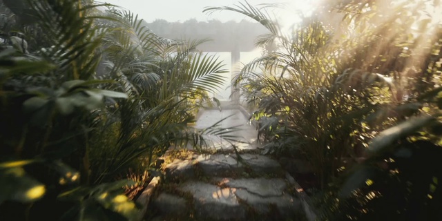 Video Reference: Water, Sky, Plant, Natural landscape, Branch, Vegetation, Sunlight, Arecales, Terrestrial plant, Grass