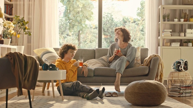 Video Reference: Furniture, Couch, Comfort, Leg, Table, Plant, studio couch, Interior design, Window, Flooring