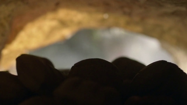 Video Reference: Cloud, Sky, Wood, Tints and shades, Grass, Ingredient, Cumulus, Landscape, Event, Cuisine