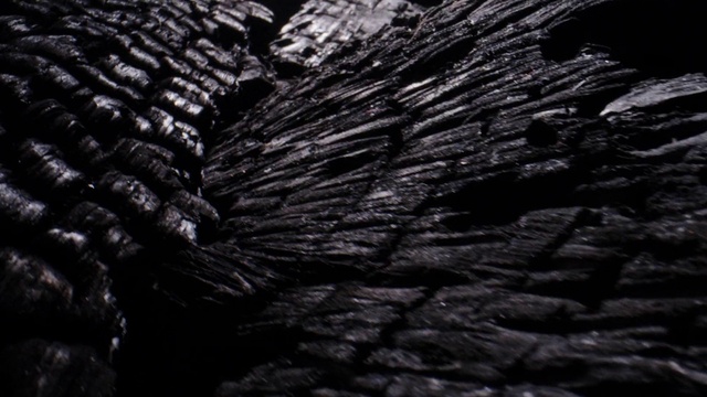 Video Reference: Automotive tire, Wood, Grey, Trunk, Tread, Pattern, Automotive wheel system, Darkness, Metal, Monochrome photography